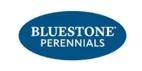 Bluestone Perennials